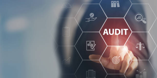 Digital Audit